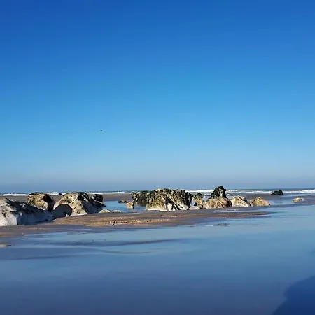 L'inattendue Face A La Mer Quiberville